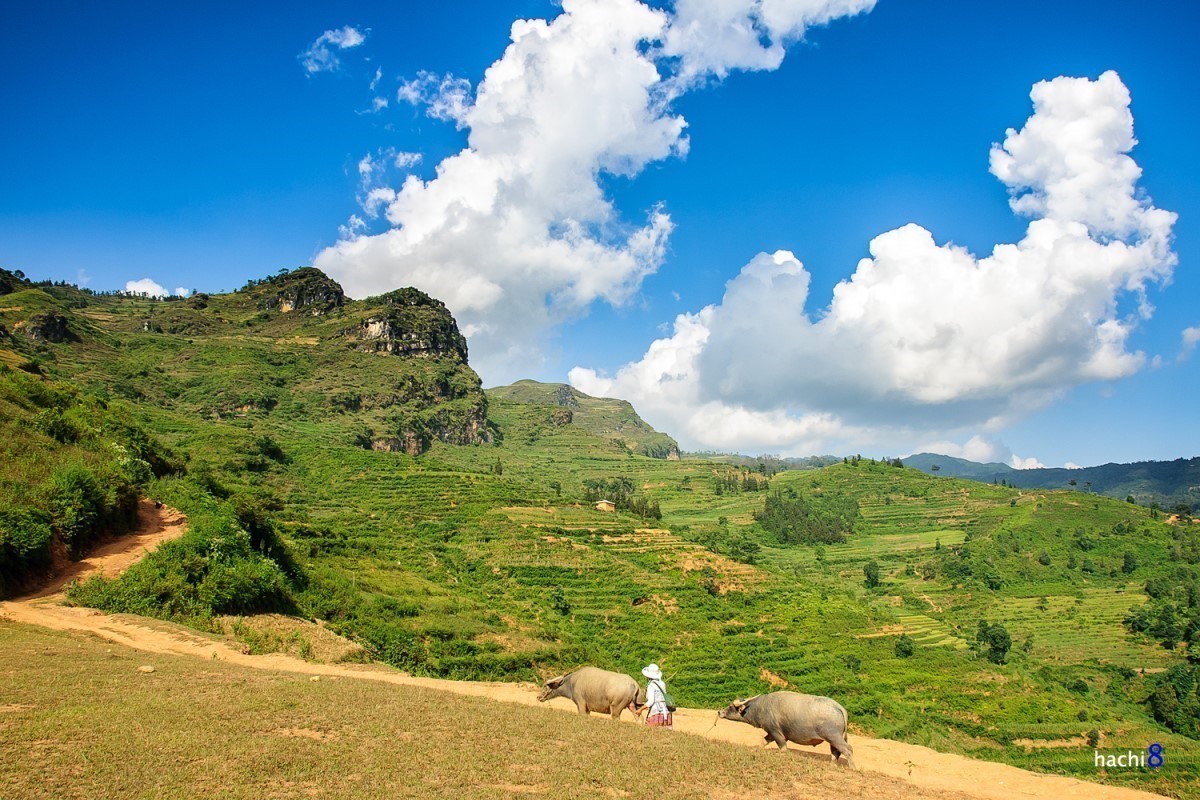 Cửa khẩu Xín Mần – Hà Giang – Một Sapa thu nhỏ giữa lòng cao nguyên 4