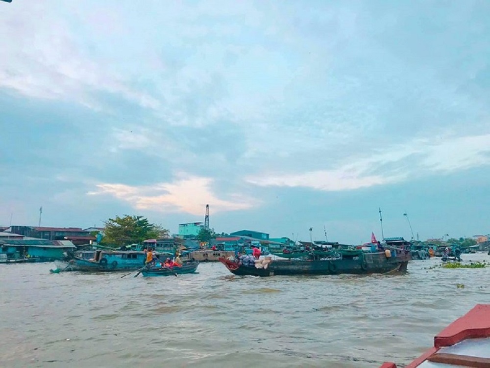 Khám phá chuyến đi 2N1Đ ăn chơi ở Cồn Sơn cực thú vị với Chiasene.com 8