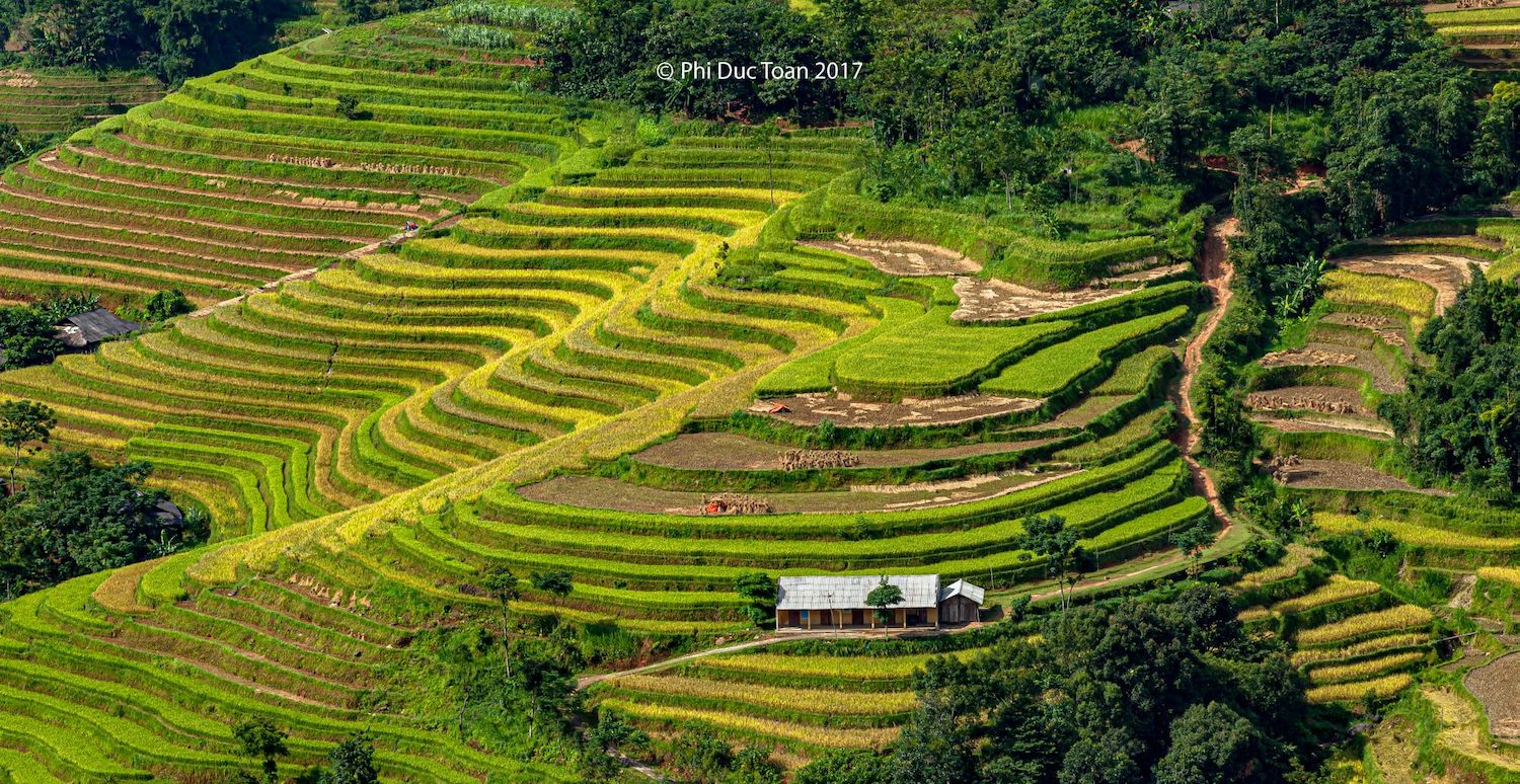 Đến Bản Luốc - Sán Sả Hồ để ngắm thửa ruộng bậc thang rộng nhất Hoàng Su Phì 9