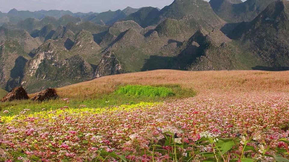 Núi Cấm Sơn Hà Giang - Chinh phục bức tranh hùng vĩ giữa lòng thành phố 4