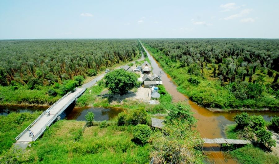 Làng rừng Vồ Dơi, di tích lịch sử sở hữu vẻ đẹp huyền bí 2