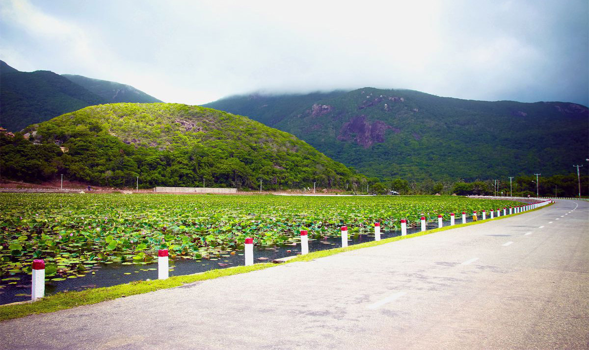 Đến Hồ Sen An Hải Côn Đảo chiêm ngưỡng vẻ đẹp tự nhiên thuần khiết 5