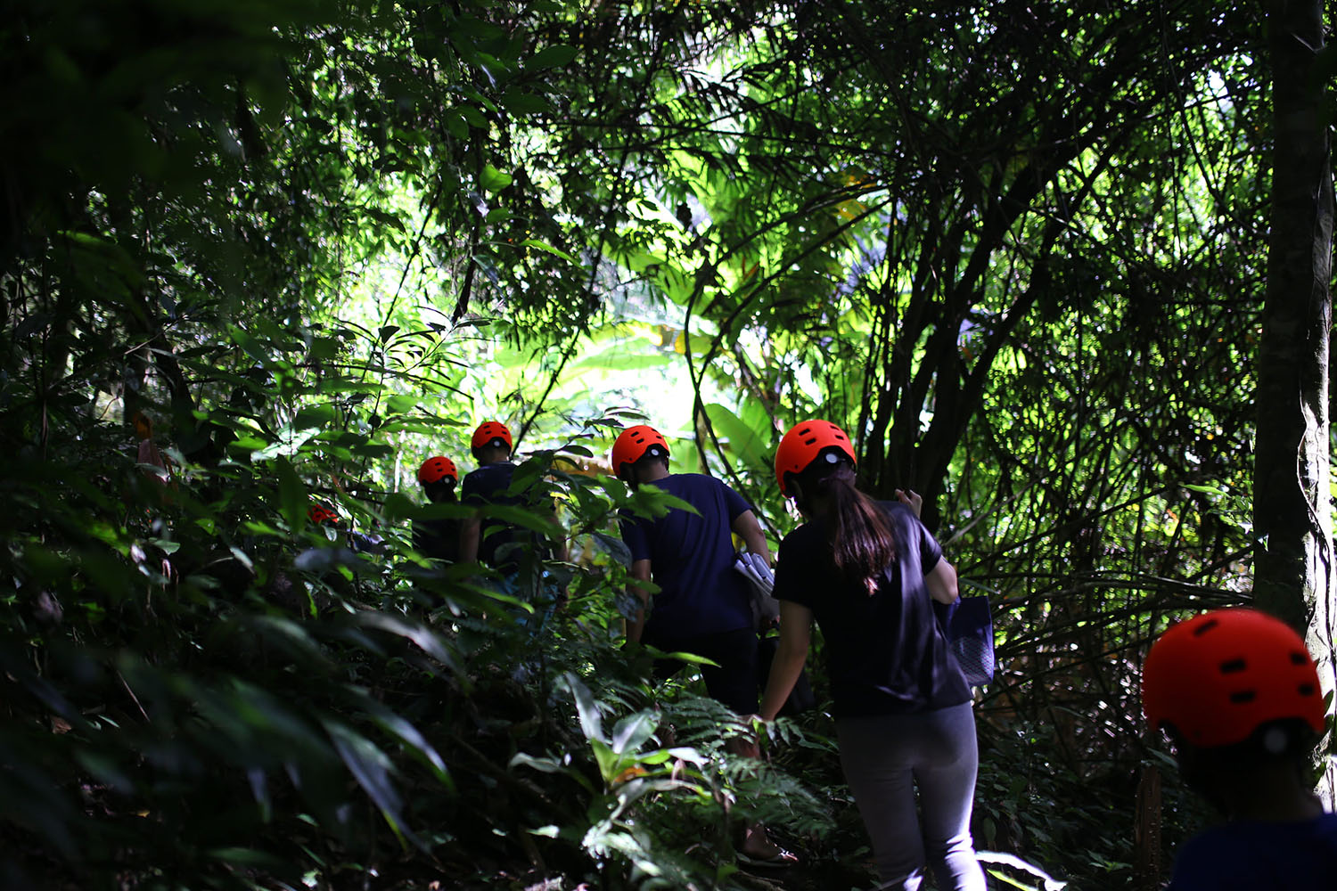 Trekking Thác K50, hành trình chinh phục chốn tiên cảnh giữa rừng già 6