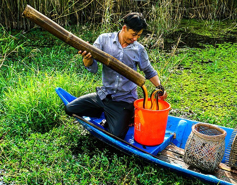 Nghề đặt trúm ở Cà Mau, nét đặc sắc văn hóa miền sông nước 4