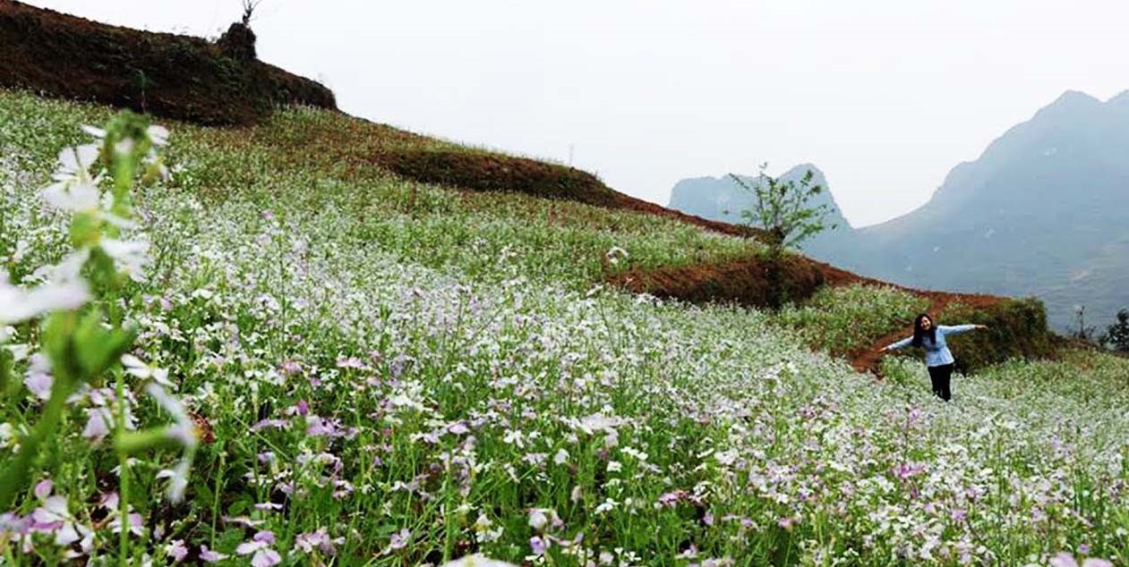 Lưu ngay trọn bộ kinh nghiệm phượt Hà Giang tự túc cực kỳ hấp dẫn 2