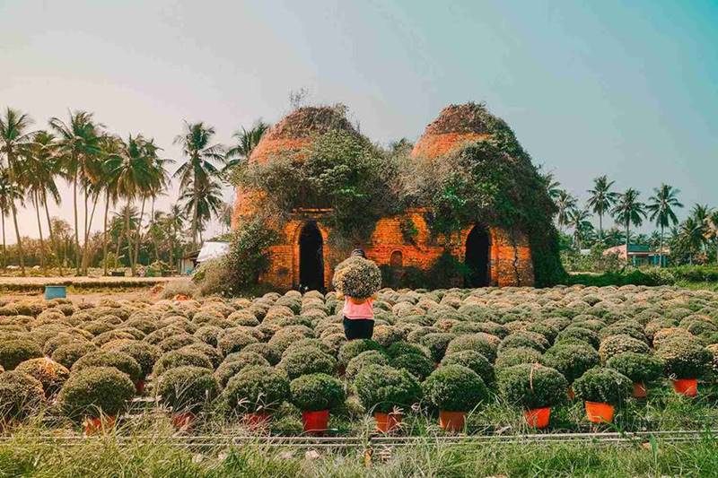 Vườn trái cây Cái Mơn, tọa độ giải nhiệt ngày nắng nóng 7