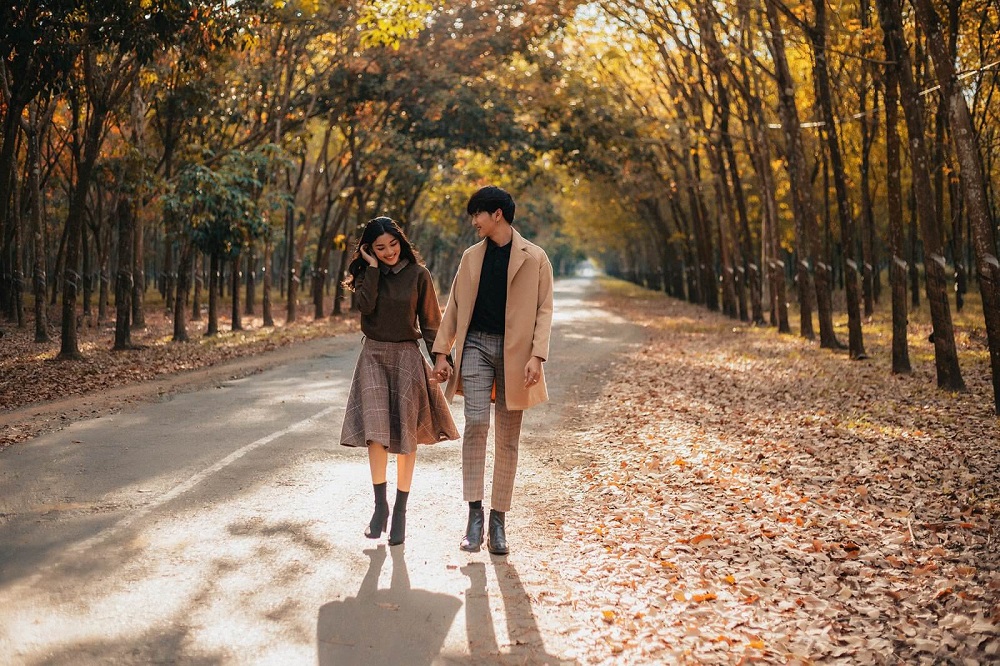 Mê mẩn rừng cao su Bình Phước mùa thay lá đầy thơ mộng 8