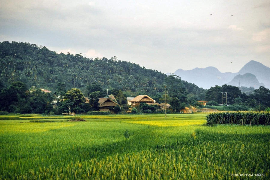 Làng quê Hà Giang yên bình vào mỗi buổi chiều trên cao nguyên đá 7