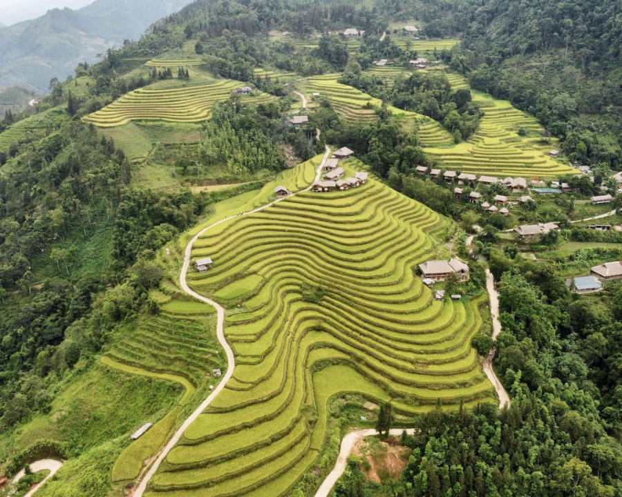 Loạn nhịp trước Hoàng Su Phì mùa lúa chín đẹp đến nao lòng 11