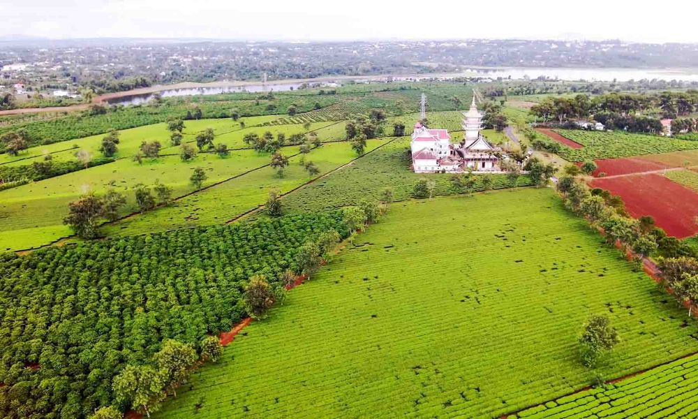 Khám phá Biển Hồ Chè giữa lòng cao nguyên rộng lớn 6