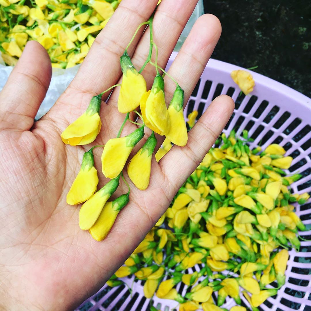 Dân dã đậm vị Lẩu cá linh bông điên điển Cần Thơ 4