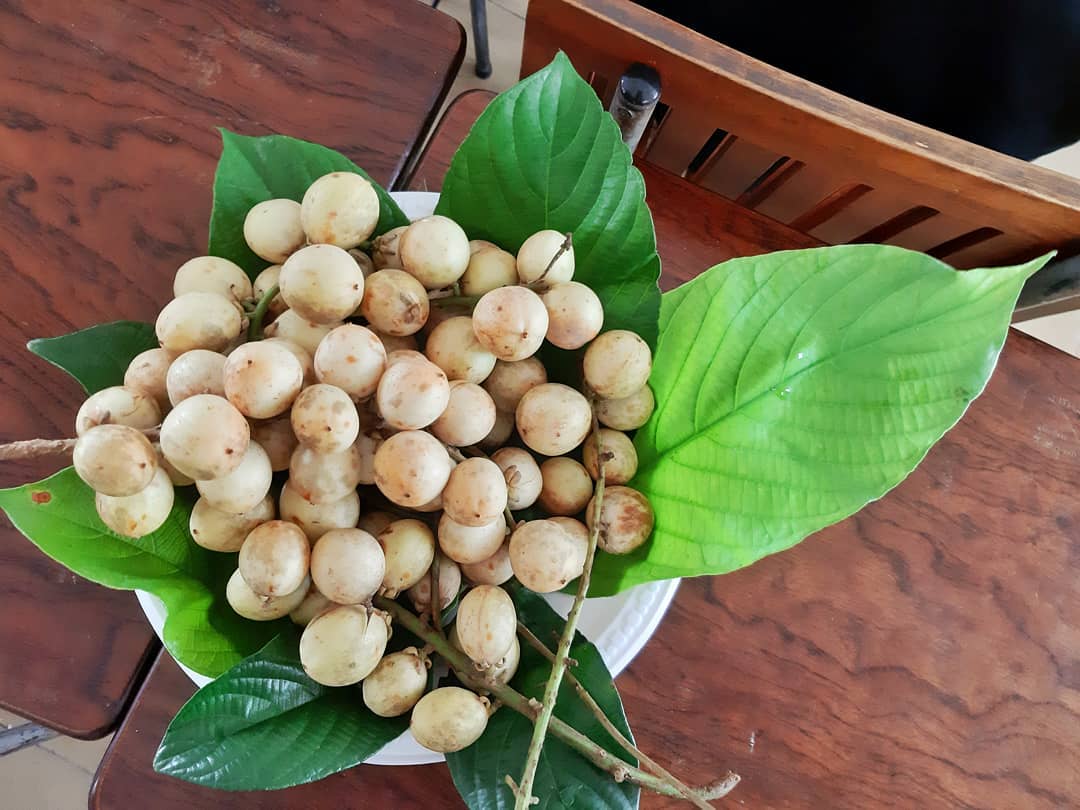 Đến Tây Đô, thử ngay món ngon Gà um dâu Hạ Châu lạ miệng 2