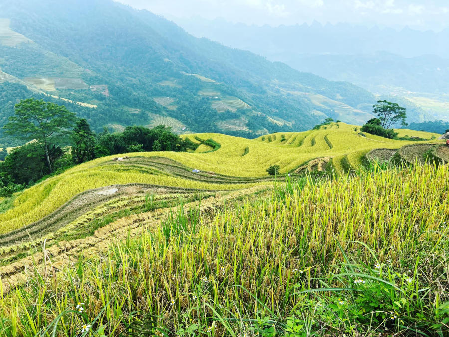 Hà Giang tháng 10 đẹp mê hồn đốn tim những tín đồ mê xê dịch 4