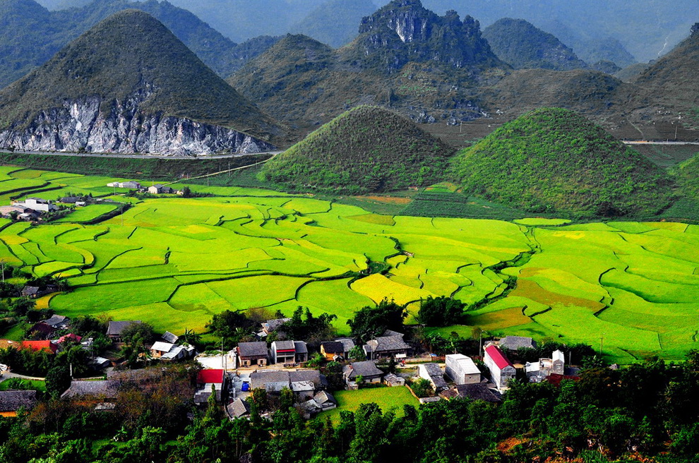 Kinh nghiệm đi Hà Giang săn mùa vàng - Thương nhớ mùa lúa chín ở cao nguyên đá 9