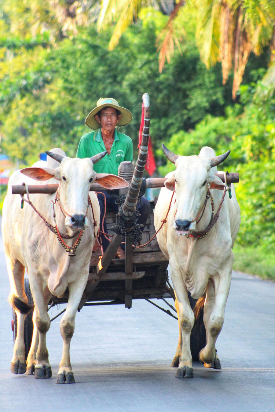 Lang thang Bảy Núi An Giang tìm về một miền quê thanh bình 8