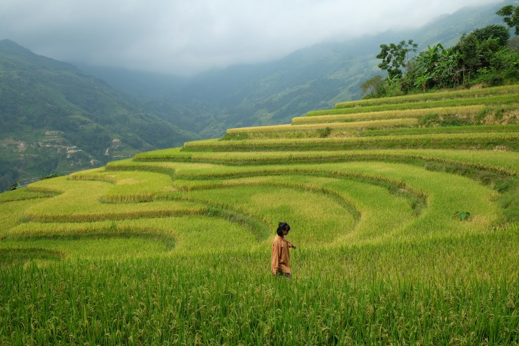 Review Bản Phùng - Bức tranh thiên nhiên và con người La Chí 6