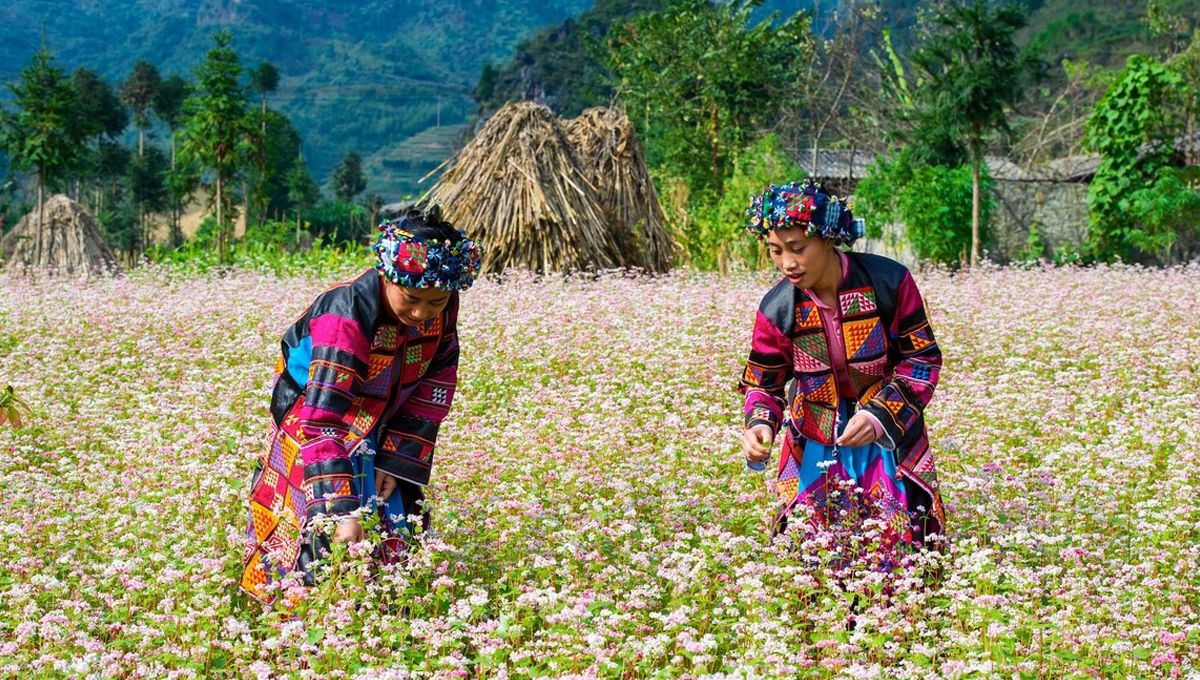 Đúc kết kinh nghiệm đi du lịch Mèo Vạc - Hà Giang, vui chơi quên lối về 5