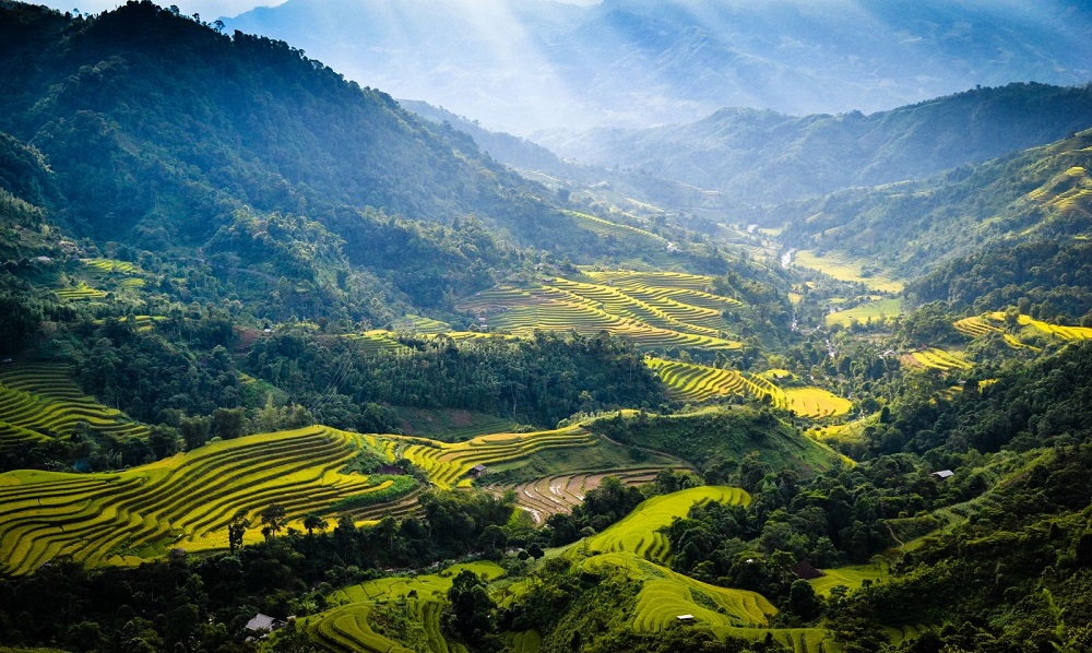 Thung lũng Sủng Là Hà Giang - Bông hoa nở giữa cao nguyên đá 4