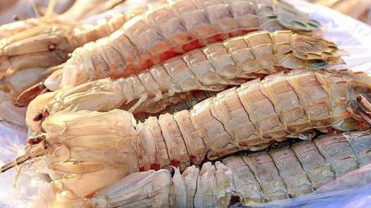 Bề bề Hạ Long và những món ăn ngon khó cưỡng 3