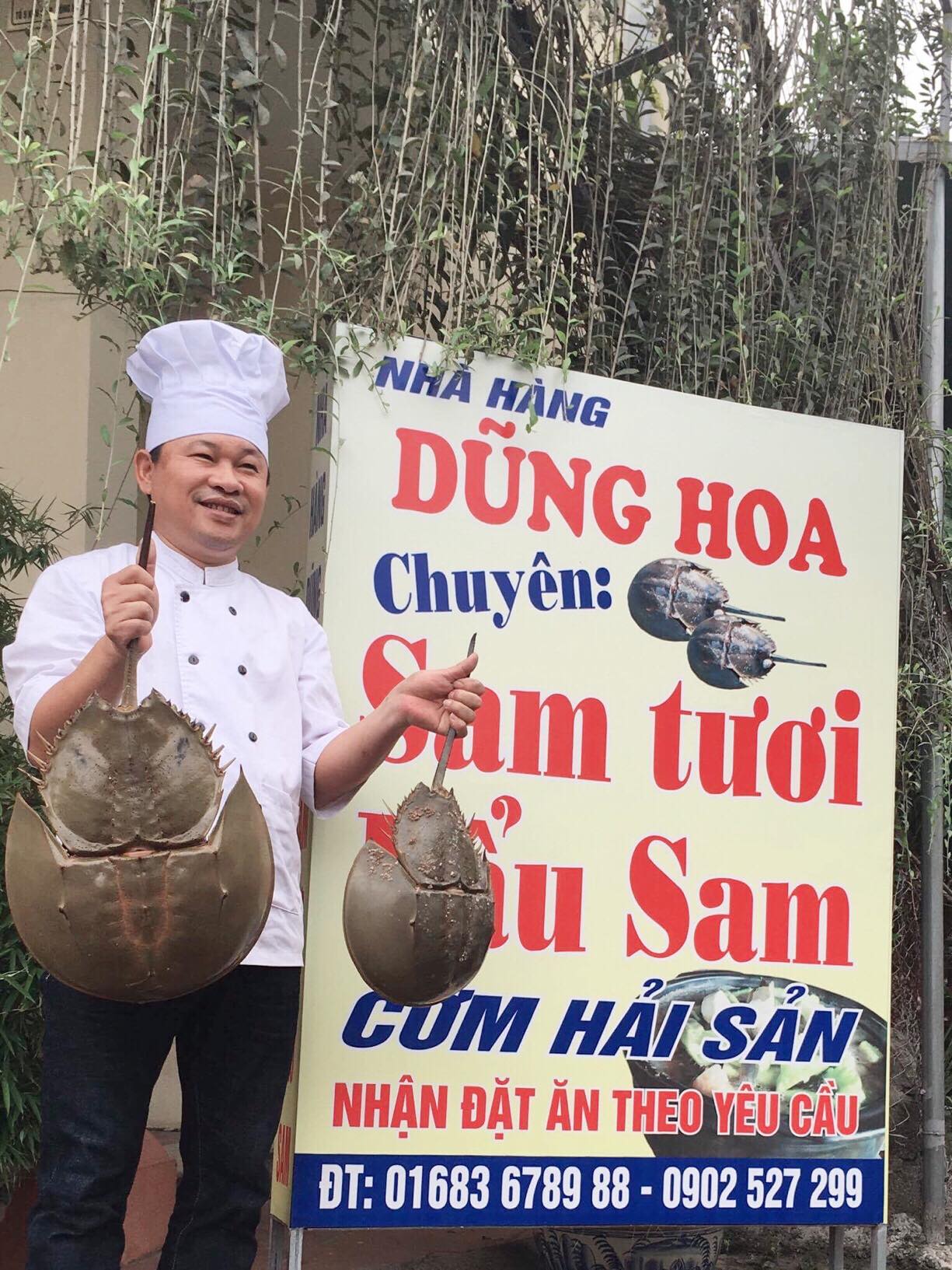 Sam biển Hạ Long và những món ngon không thể bỏ lỡ 11