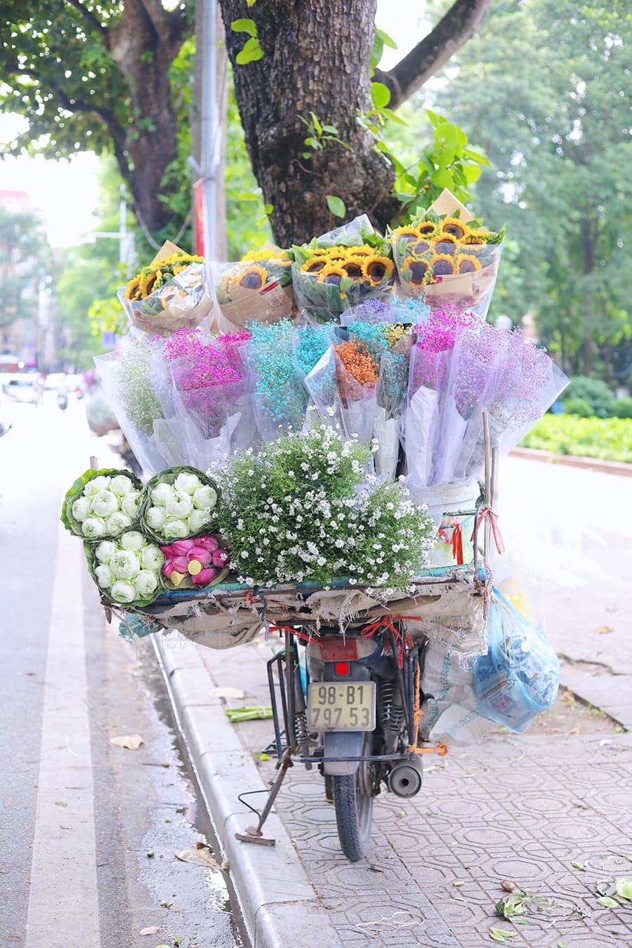 Mùa thu Hà Nội, vẻ đẹp lãng đãng tựa như lời hát ru 2