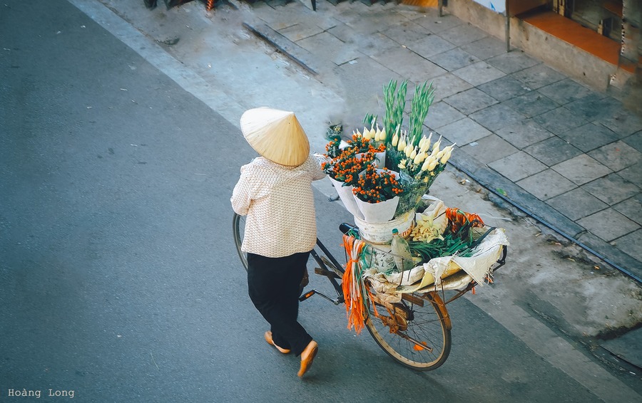 Mùa thu Hà Nội đầy yên bình qua những ô cửa sổ 2