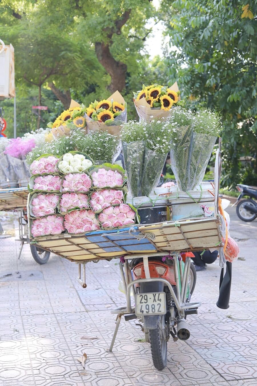 Mùa thu Hà Nội, vẻ đẹp lãng đãng tựa như lời hát ru 5