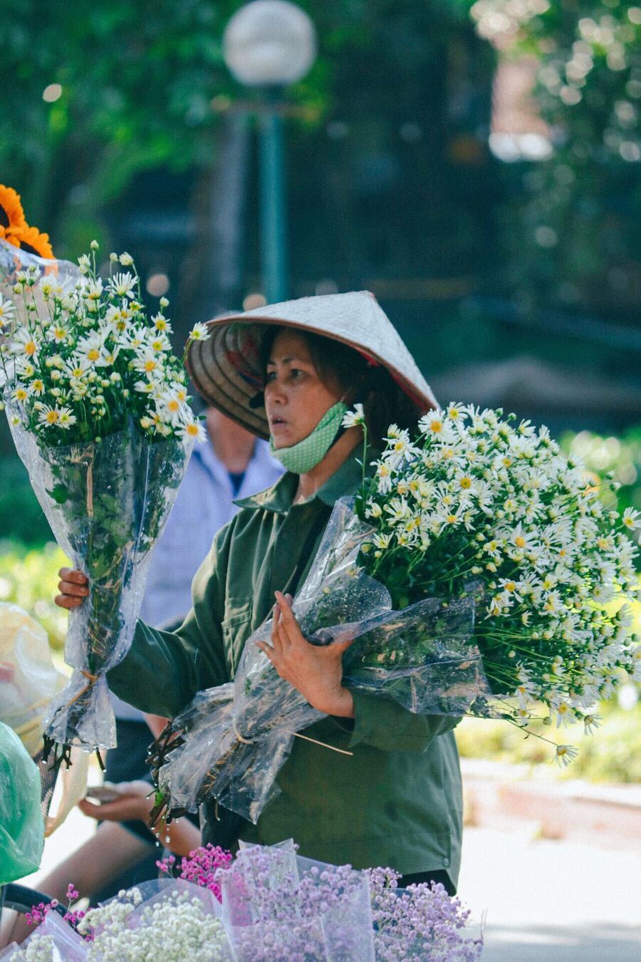 Cúc họa mi Hà Nội, vẻ đẹp thanh tao đậm chất thủ đô 6