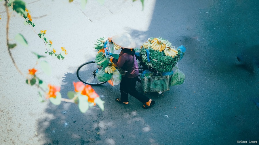 Mùa thu Hà Nội đầy yên bình qua những ô cửa sổ 3