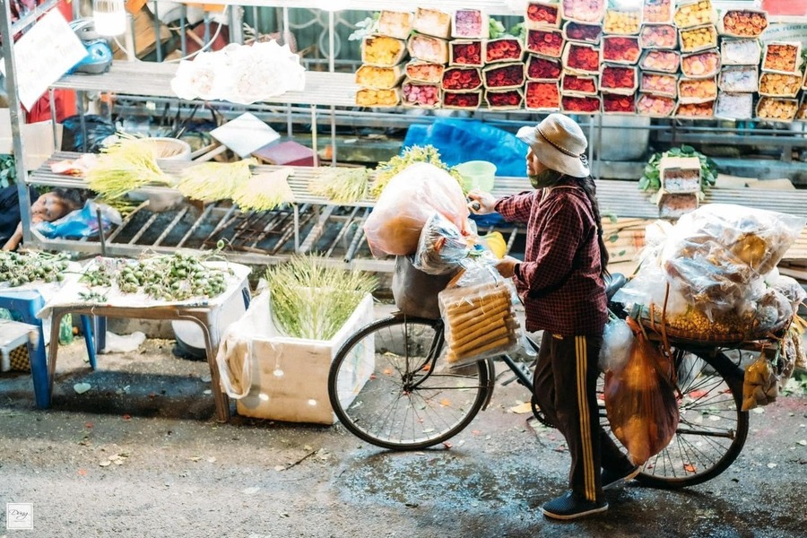 Chợ hoa Quảng An, vẻ đẹp rực rỡ khoe sắc sáng bừng thủ đô 8