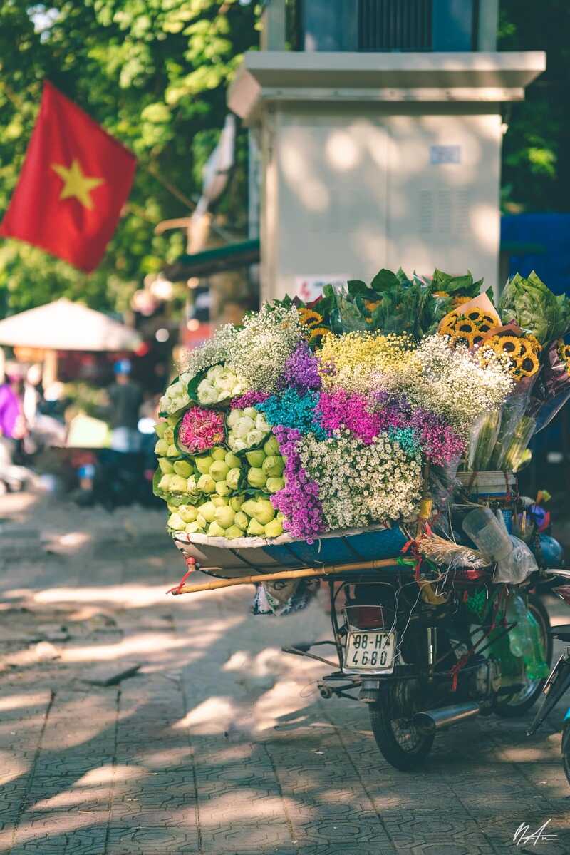 Chiêm ngưỡng mùa thu Hà Nội cùng sắc hoa rực rỡ 6